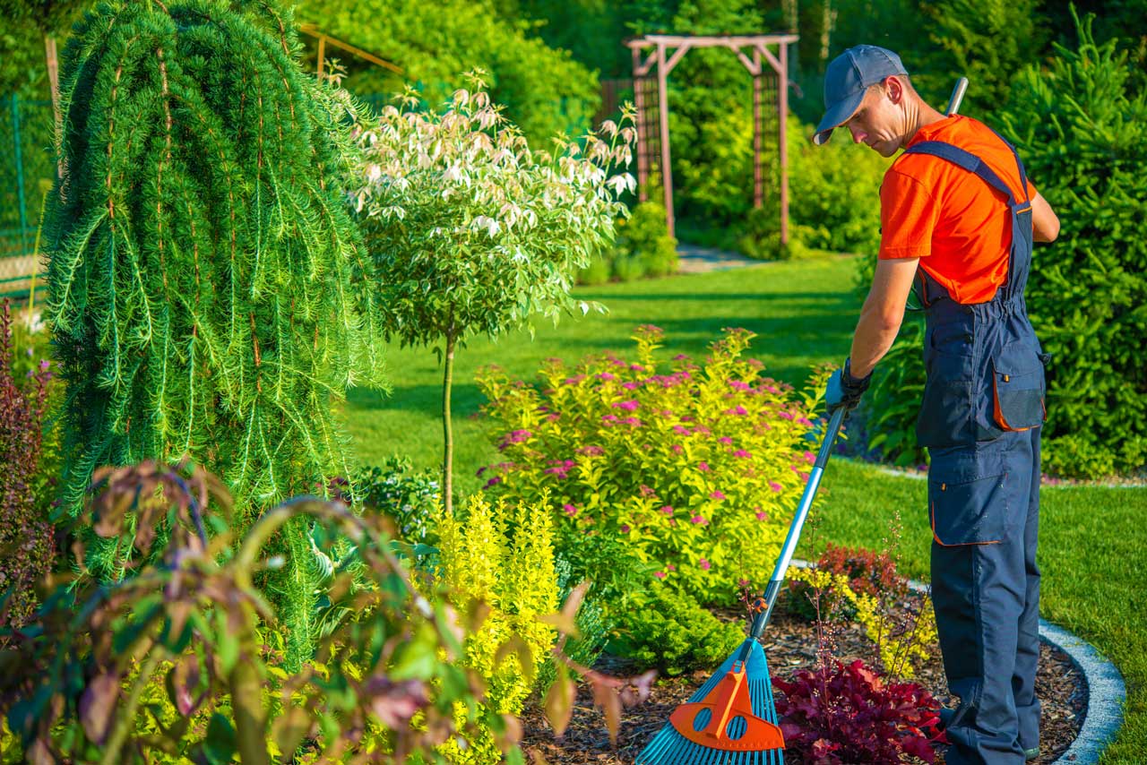divi-landscaping-theme-4